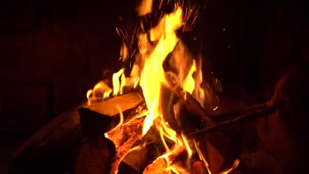Ein Feuer brennt in einem Kamin, Feuer, um warm zu bleiben — Stockvideo