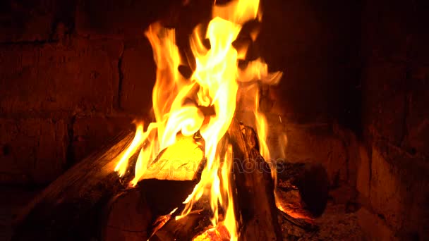 En brand brinner i en öppen spis, eld för att hålla värmen — Stockvideo