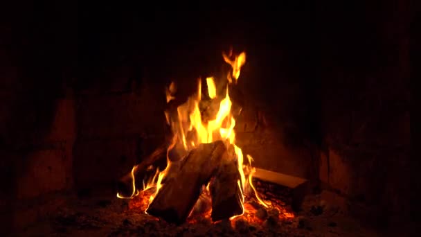 Μια φωτιά καίει σε ένα τζάκι, φωτιά για να κρατήσει ζεστό — Αρχείο Βίντεο