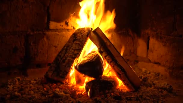 Un fuoco brucia in un camino, fuoco per riscaldarsi — Video Stock
