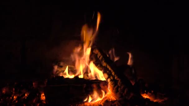 Ein Feuer brennt in einem Kamin, Feuer, um warm zu bleiben — Stockvideo