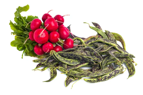 Taze Borlotti fasulye, turp ve duvar beyaz bir arka yüzündeki sebze — Stok fotoğraf