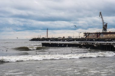 Poti, Gürcistan Karadeniz üzerinde martılar