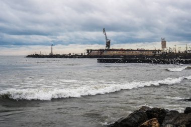Poti, Gürcistan Karadeniz üzerinde martılar