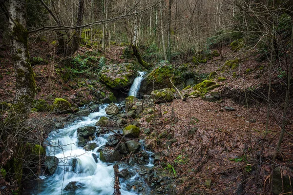 Agua que fluye por las rocas, musgo en las rocas, Svaneti, Georgia — Foto de Stock