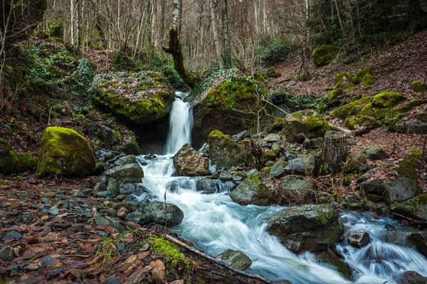 Wasser fließt die Felsen hinunter, Moos auf den Felsen, svaneti, georgia — Stockfoto