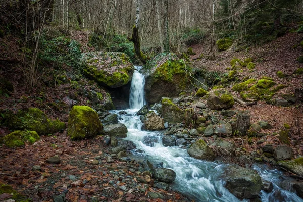 Wasser fließt die Felsen hinunter, Moos auf den Felsen, svaneti, georgia — Stockfoto