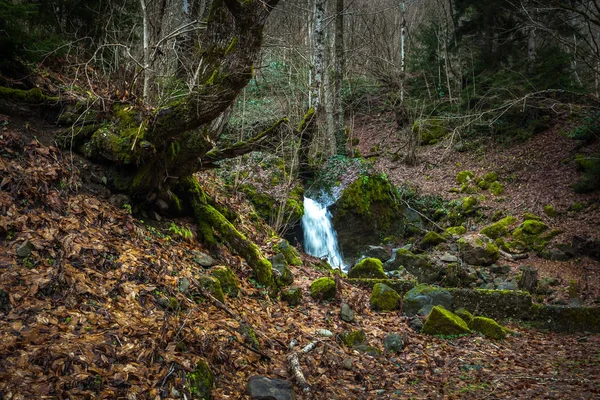 Acqua che scorre lungo le rocce, muschio sulle rocce, Svaneti, Georgia — Foto Stock