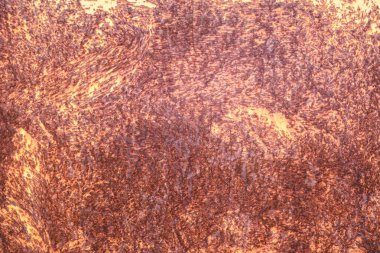 eski paslı metal plaka sarı boya ile