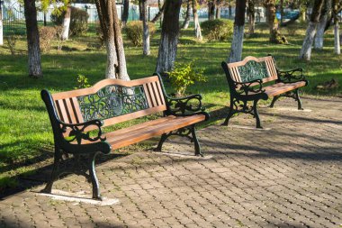 Ahşap park banklar güzel güneşli bir günde bir parkta