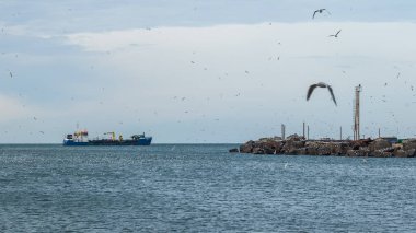 Gemi ve martıların Denizi, Poti, Gürcistan bağlantı noktası