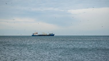 Gemi ve martıların Denizi, Poti, Gürcistan bağlantı noktası