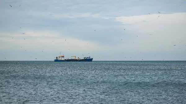 Gemi ve martıların Denizi, Poti, Gürcistan bağlantı noktası