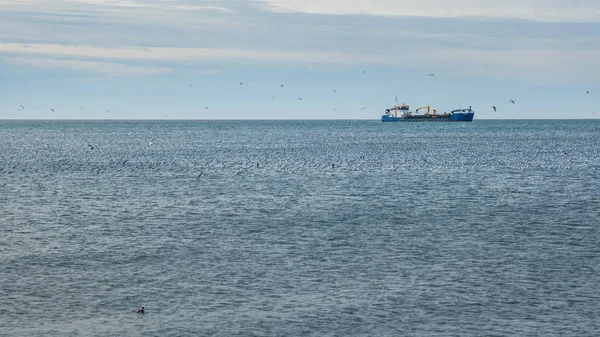Gemi ve martıların Denizi, Poti, Gürcistan bağlantı noktası — Stok fotoğraf