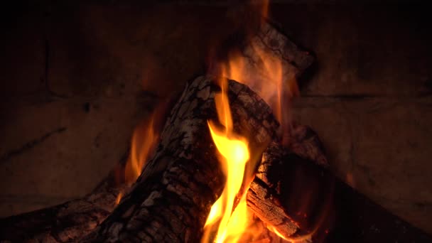 Feu Brûle Dans Une Cheminée Feu Pour Garder Chaud — Video