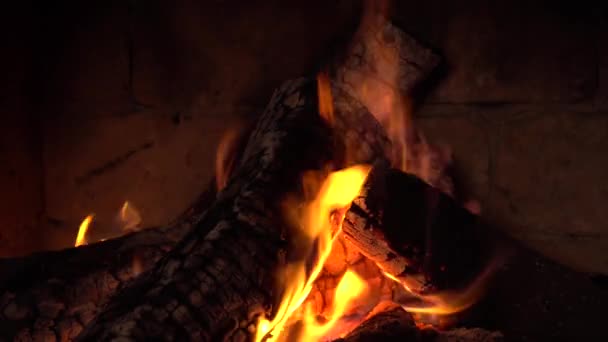 Fuego Arde Una Chimenea Fuego Para Mantener Calor — Vídeo de stock
