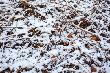 Kahverengi kapsayan beyaz kar ince tabaka kurudu 