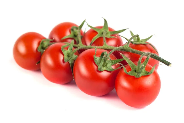 Ramo de tomates rojos sabrosos frescos sobre el fondo blanco — Foto de Stock