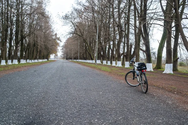 Vélo sur la route parmi les arbres, Poti, Géorgie — Photo