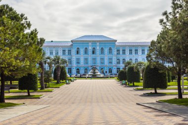 Batum Devlet Üniversitesi, Gürcistan önünde çeşme