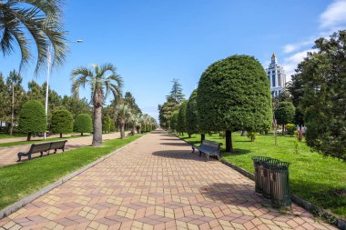 Park mesire Batum, Gürcistan, palmiye ağaçları ile