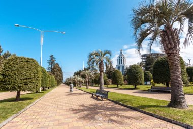 Park mesire Batum, Gürcistan, palmiye ağaçları ile