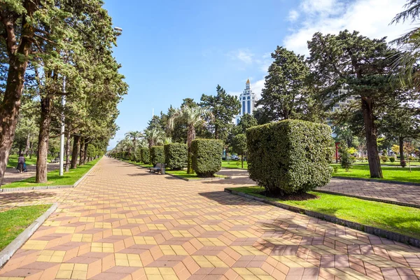 Park s palmovými stromy na promenádě v Batumi, Gruzie — Stock fotografie