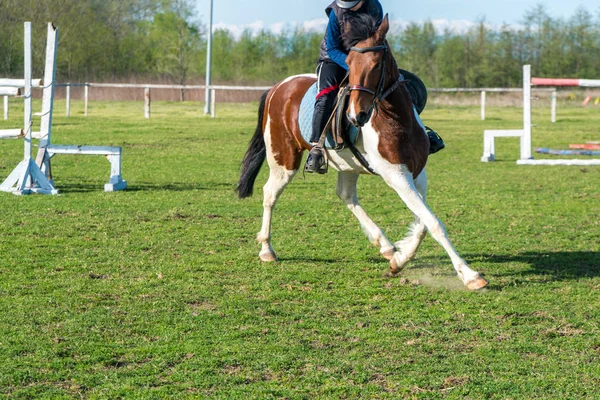 Ein kleiner Reiter trainiert ein Pferd auf dem grünen Gras einer Rennbahn — Stockfoto