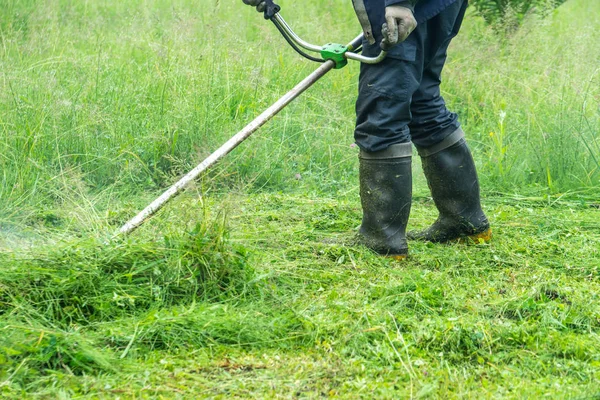 Jardineiro Cortando Grama Por Cortador Grama — Fotografia de Stock