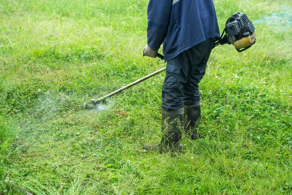 The gardener cutting grass by lawn mower.