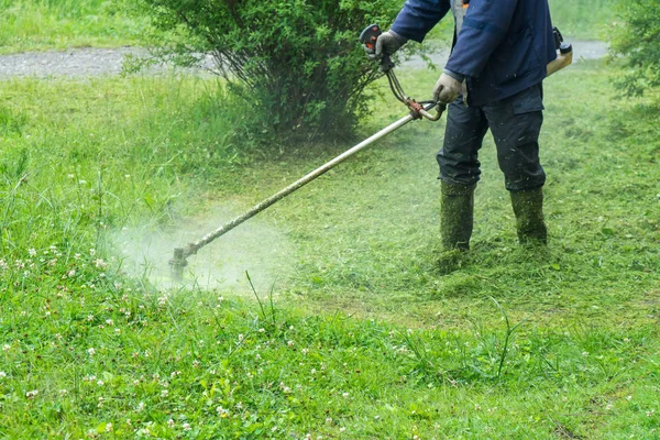 Jardineiro Cortando Grama Por Cortador Grama — Fotografia de Stock