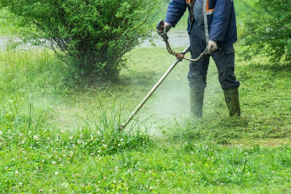Jardineiro Cortando Grama Por Cortador Grama — Fotografia de Stock