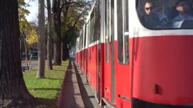 Viyana, Avusturya - 24.10.2019: Viyana, Avusturya 'da geleneksel kırmızı tramvay.