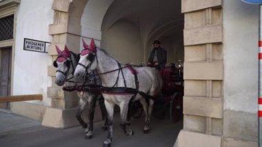 Viyana, Avusturya - 24.10.2019: Viyana 'daki Michaelerplatz' da at arabası veya Fiaker, popüler turizm merkezi..