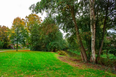 Şehir parkı, gölet suyunda ağaçların yansıması, sonbahar. Eindhoven