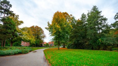 Şehir parkı, gölet suyunda ağaçların yansıması, sonbahar. Eindhoven