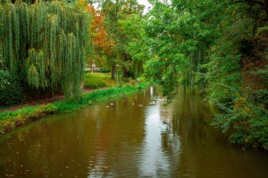 Şehir parkı, gölet suyunda ağaçların yansıması, sonbahar. Eindhoven