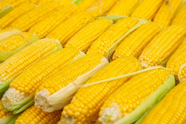 Friss sárga kukorica eladó a termelői piacon — Stock Fotó