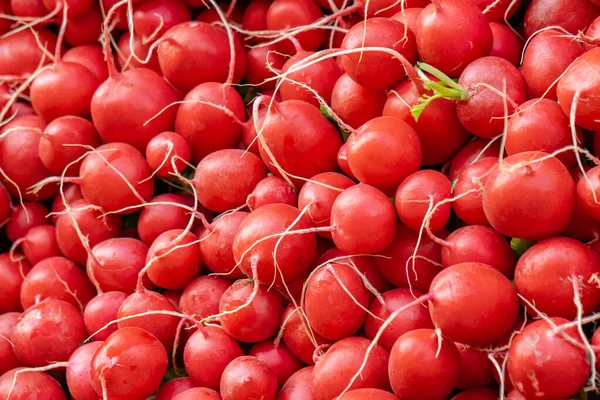 Heap Of Ripe Radish, Red natural organic radishes backgroundл. — 스톡 사진