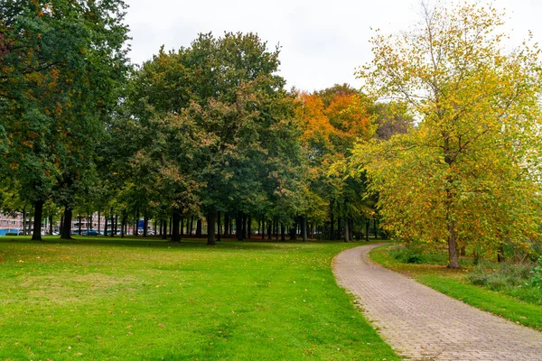 Parque da cidade em Eindhoven, outono, Holanda. Natureza . — Fotografia de Stock