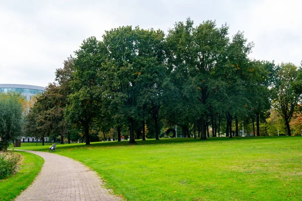 Stadspark in Eindhoven, herfst, Nederland. Natuur. — Stockfoto