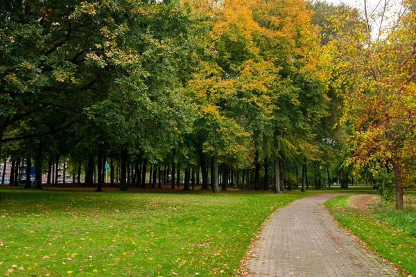 Parque de la ciudad en Eindhoven, otoño, Holanda. Naturaleza . — Foto de Stock