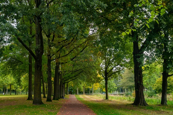 Stadtpark in Eindhoven, Herbst, Niederlande. Natur. — Stockfoto