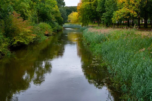Parque de la ciudad en Eindhoven, otoño, Holanda. Naturaleza . — Foto de Stock