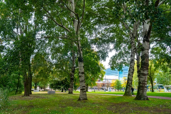 Parque de la ciudad en Eindhoven, otoño, Holanda. Naturaleza . — Foto de Stock