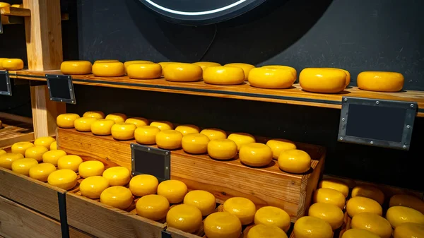 Rodas de queijo Holland nas prateleiras no mercado de produção de diário . — Fotografia de Stock