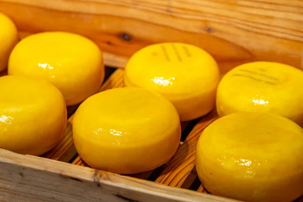 Günlük üretim piyasasının raflarında Hollanda peyniri çarkları. — Stok fotoğraf