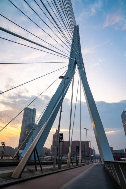 Sabah Erasmusbrug köprüsü ile Rotterdam Skyline, Nether