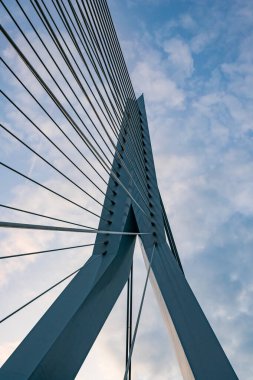 Erasmusbrug, diğer adıyla Swan. Alt görünüm.