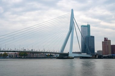 Sabah Erasmusbrug köprüsü ile Rotterdam Skyline, Nether